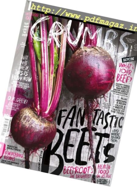 Crumbs Devon – October 2017 Cover