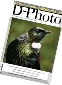D-Photo – October-November 2017