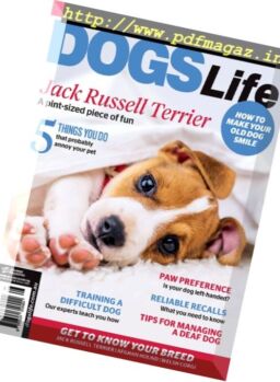Dogs Life – August 2017