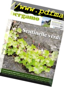 Eco.Bergamo – Agosto-Settembre 2017