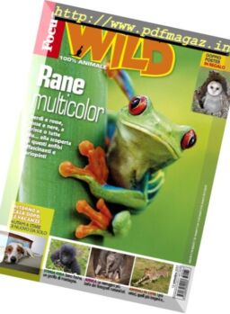 Focus Wild – Ottobre 2017
