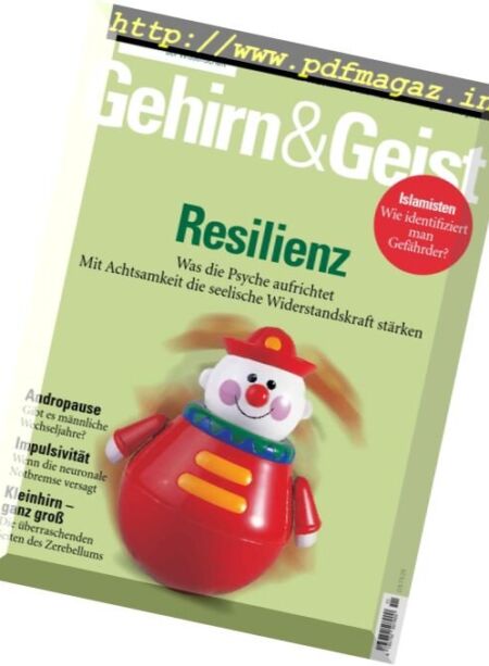Gehirn und Geist – November 2017 Cover