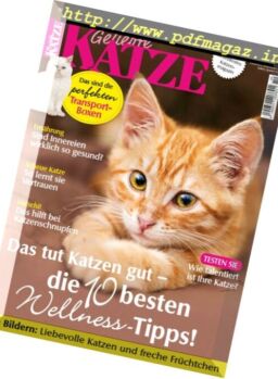 Geliebte Katze – Oktober 2017