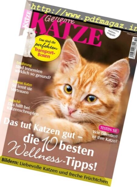Geliebte Katze – Oktober 2017 Cover