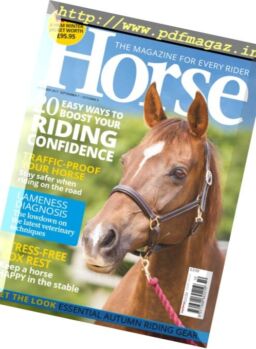 Horse – October 2017