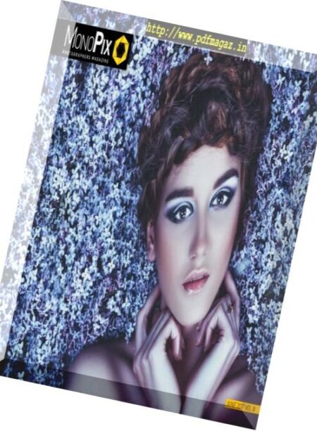 Monopix – Volume 2, July 2017 Cover