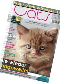 Our Cats – Oktober 2017