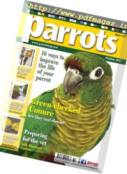 Parrots – October 2017