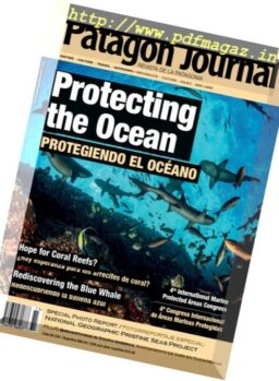 Patagon Journal – N 15, 2017