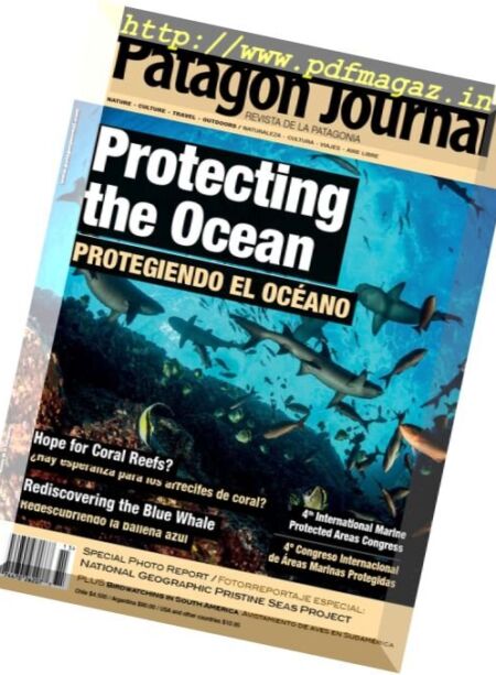 Patagon Journal – N 15, 2017 Cover