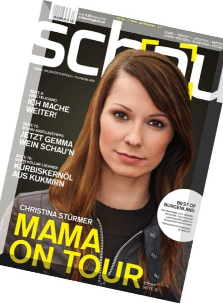 Schau – Nr.4 2017 Cover