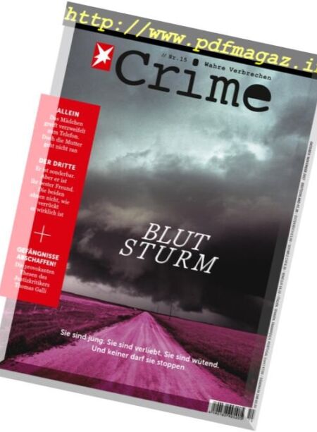 Stern Crime – Nr.15, 2017 Cover