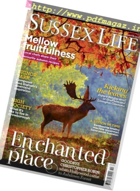 Sussex Life – October 2017 Cover