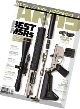 World of Fire Power – AR-15 (2017)