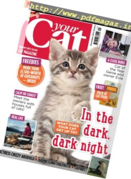 Your Cat – November 2017
