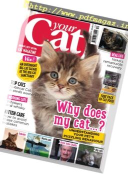 Your Cat – October 2017