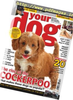 Your Dog – October 2017