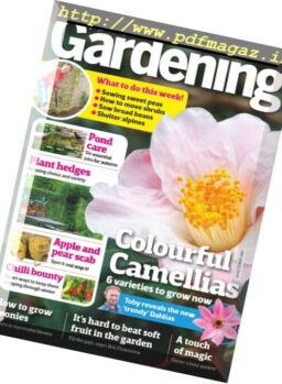 Amateur Gardening – 12 October 2017