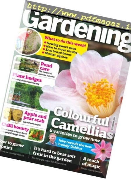 Amateur Gardening – 14 October 2017 Cover