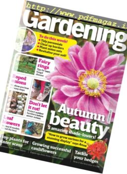 Amateur Gardening – 5 October 2017