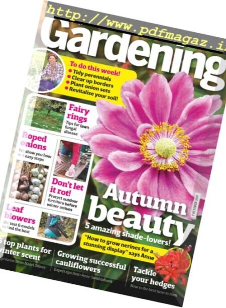 Amateur Gardening – 5 October 2017 Cover
