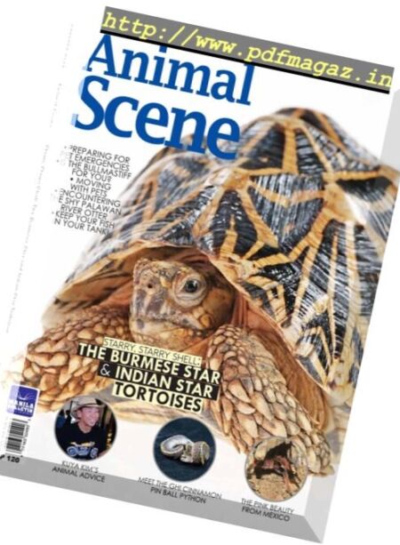 Animal Scene – October 2017 Cover