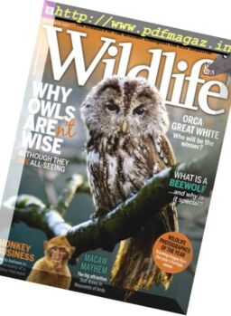 BBC Wildlife – November 2017