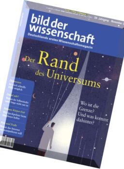 Bild der Wissenschaft – November 2017