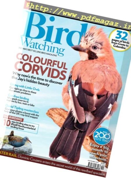 Bird Watching UK – November 2017 Cover