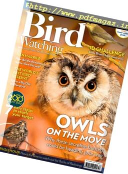 Bird Watching UK – October 2017