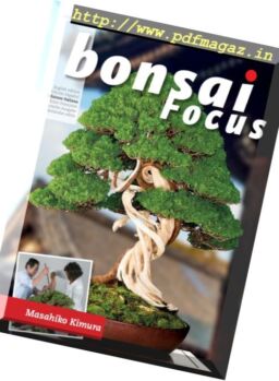 Bonsai Focus – (Italian Edition) – novembre-dicembre 2017