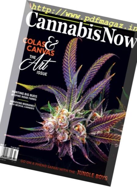 Cannabis Now – Issue 27, 2017 Cover