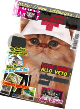 Chats d’Amour – mai 2017