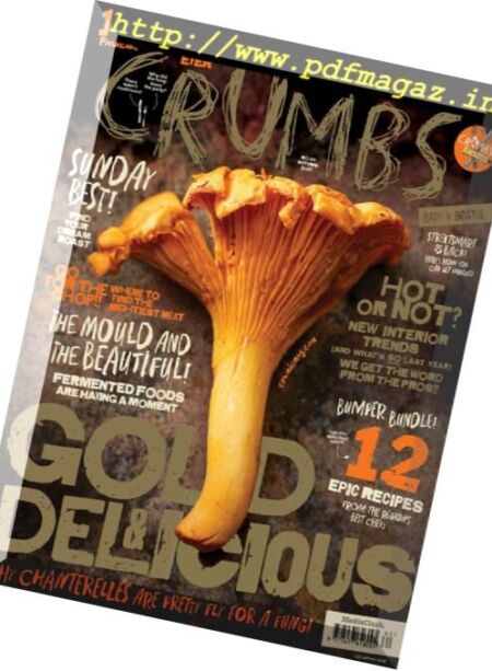 Crumbs Bath & Bristol – Autumn 2017 Cover