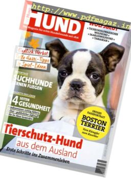 Der Hund – November 2017