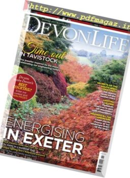 Devon Life – November 2017