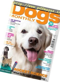 Dogs Monthly – November 2017