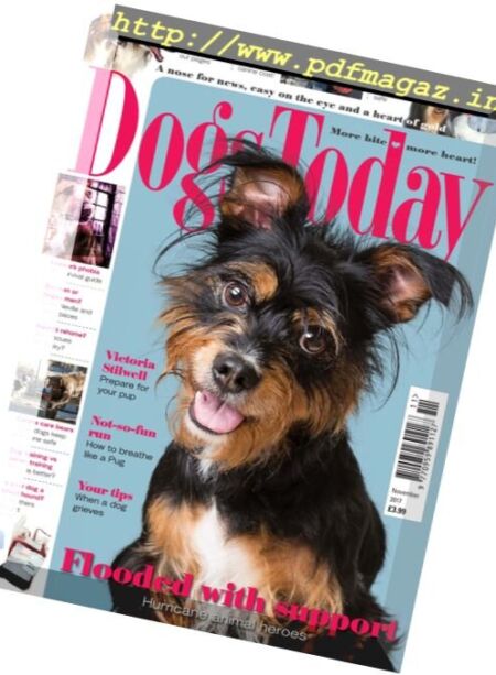 Dogs Today UK – November 2017 Cover