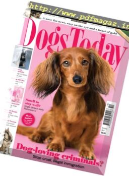 Dogs Today UK – October 2017