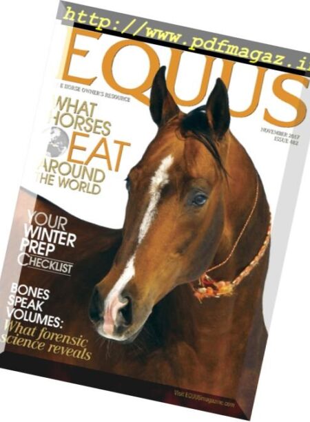 Equus – November 2017 Cover