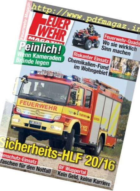 Feuerwehr – Januar 2011 Cover