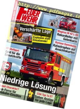 Feuerwehr – Januar 2013