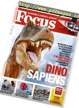 Focus Italia – Novembre 2017