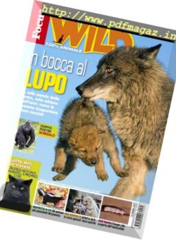 Focus Wild – Novembre 2017