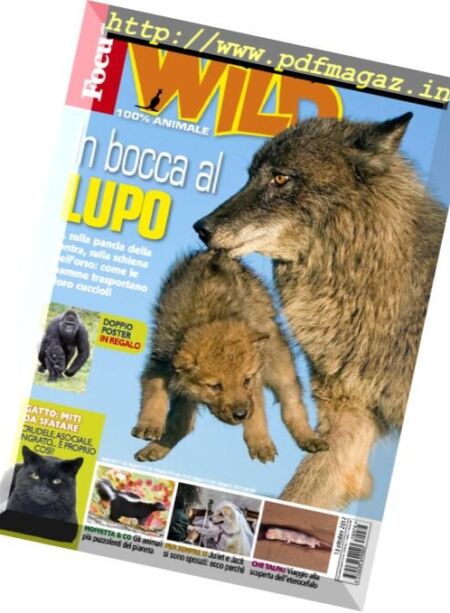 Focus Wild – Novembre 2017 Cover