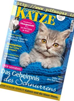 Geliebte Katze – November 2017