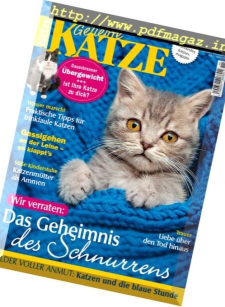 Geliebte Katze – November 2017 Cover