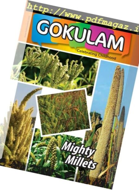 Gokulam – (English Edition) – November 2017 Cover