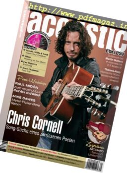 Guitar Acoustic – Nr.5 2017