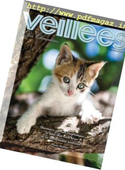 Les Veillees des chaumieres – 18 octobre 2017